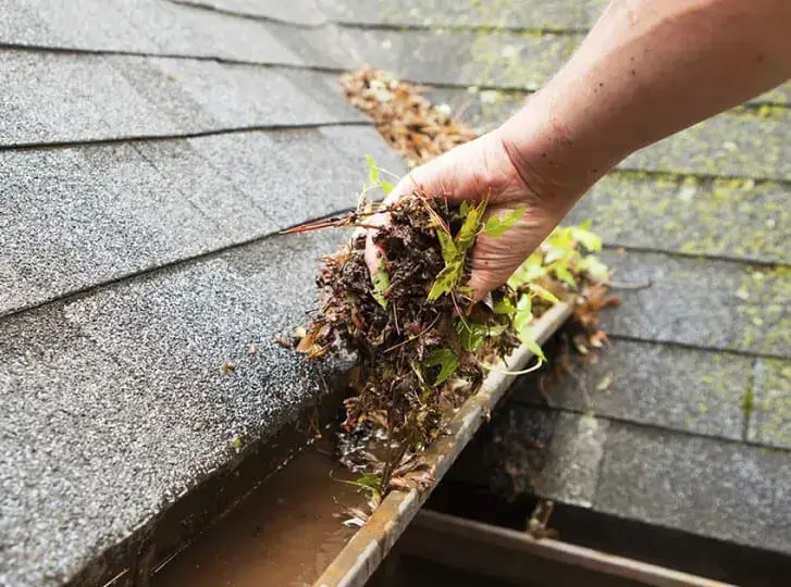rain gutter cleaning Sandy Utah